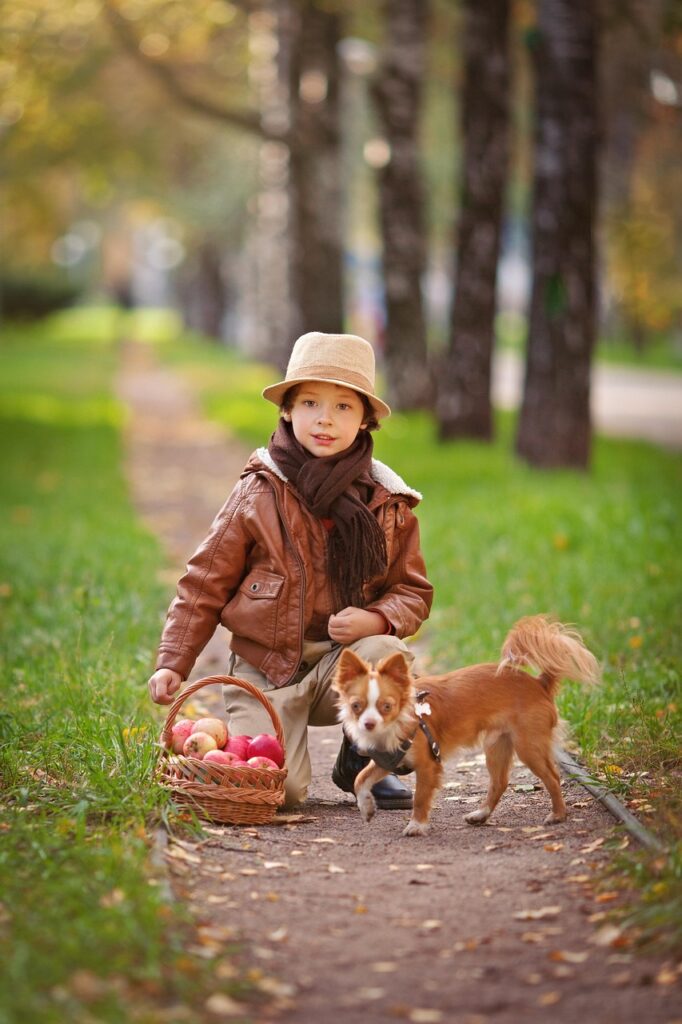 dogs, dog, pet, pug, pets, friend of human, devotion, animal, boy, kids, animals, a small dog, puppy, friend, child, stroll, kid, baby, cute, childhood, autumn, the park, a cute baby